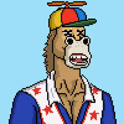 Horse Club #1578