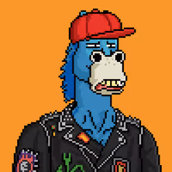 Horse Club #1517