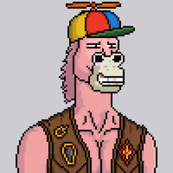 Horse Club #535