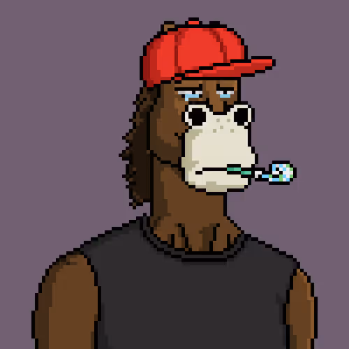 Horse Club #2101