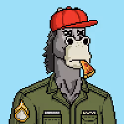 Horse Club #89