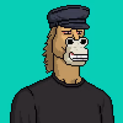 Horse Club #1492