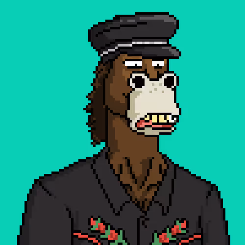 Horse Club #537