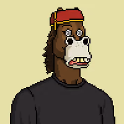 Horse Club #1901