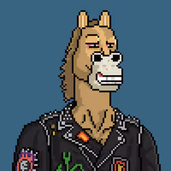 Horse Club #1378