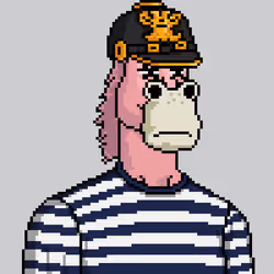 Horse Club #546