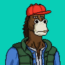 Horse Club #709