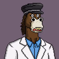 Horse Club #1669