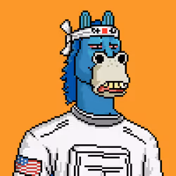 Horse Club #1311
