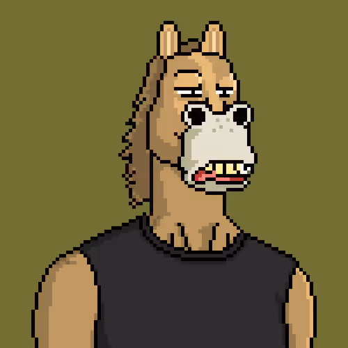 Horse Club #339