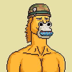 Horse Club #855