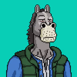 Horse Club #580