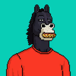 Horse Club #1113