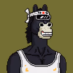 Horse Club #1569