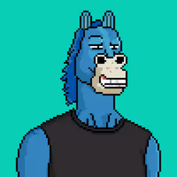 Horse Club #1446
