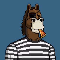 Horse Club #1487