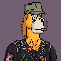 Horse Club #1469