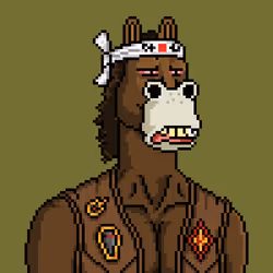 Horse Club #1573