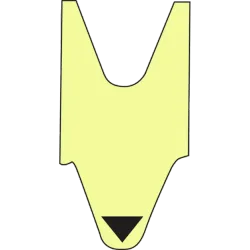 Unrevealed Token #11