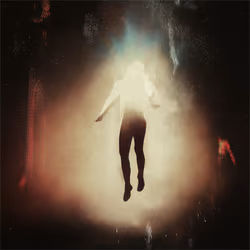 GRAVITY #229
