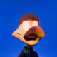 Duck #2337