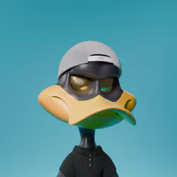 Duck #1707