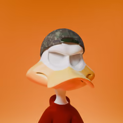 Duck #1908