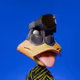 Duck #3220