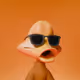 2623