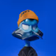 Duck #668