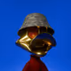 Duck #2301