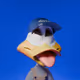 731