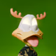 Duck #355