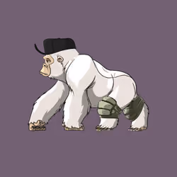 2896