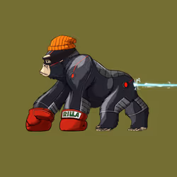 2511
