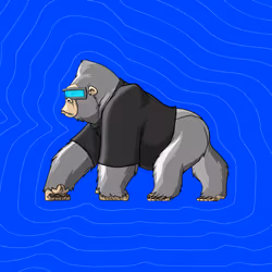 8153