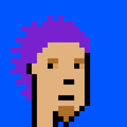 Punk #2806