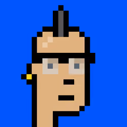 Punk #8876