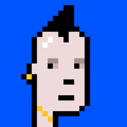 Punk #8654
