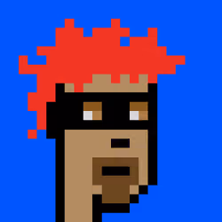 Punk #9711