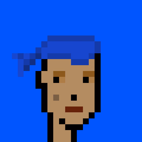 Punk #8662