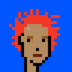 Punk #213