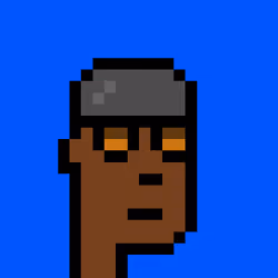 Punk #489