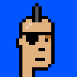 Punk #1334