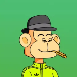 Ape Monkeys #147