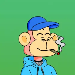 Ape Monkeys #907