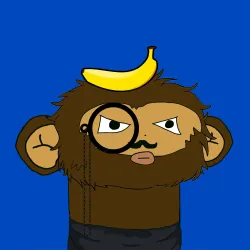 241