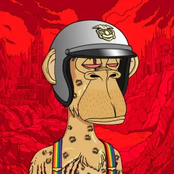 1258