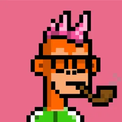 Monkera #1139