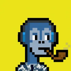Monkera #817